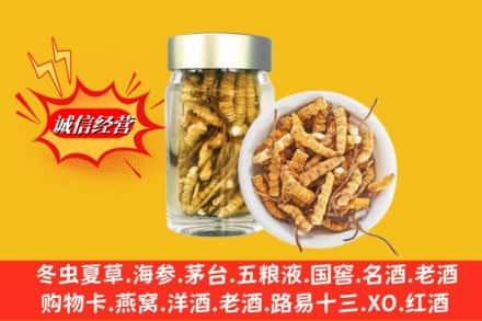 阜平县回收散虫草