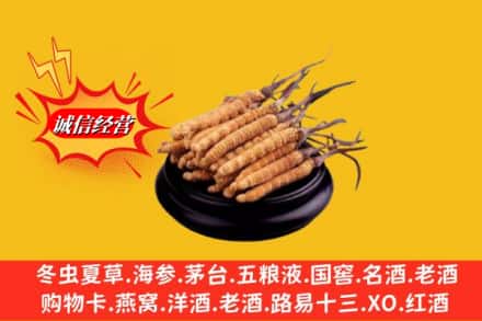 阜平县名酒回收冬虫夏草.jpg